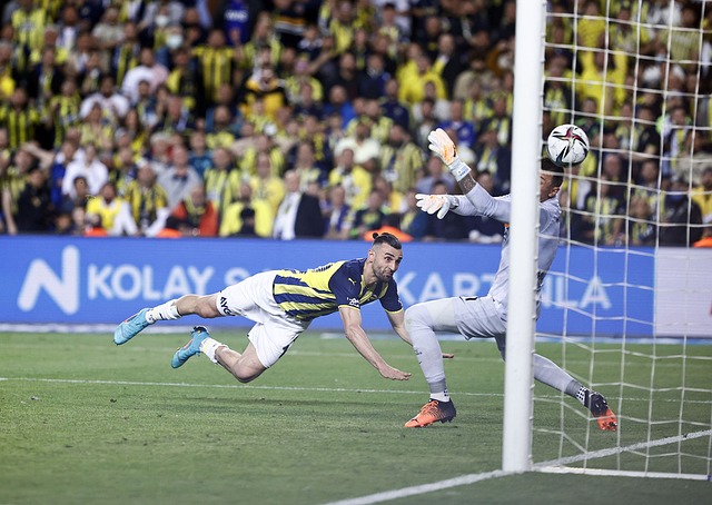 武汉经开区 武汉经开区