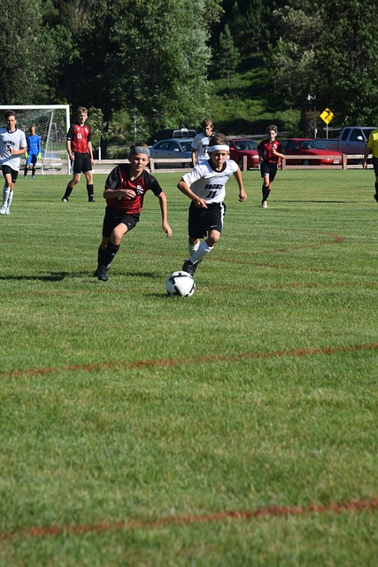 我们看到 我们看到