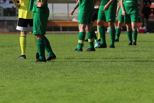 它不仅代表 它不仅代表