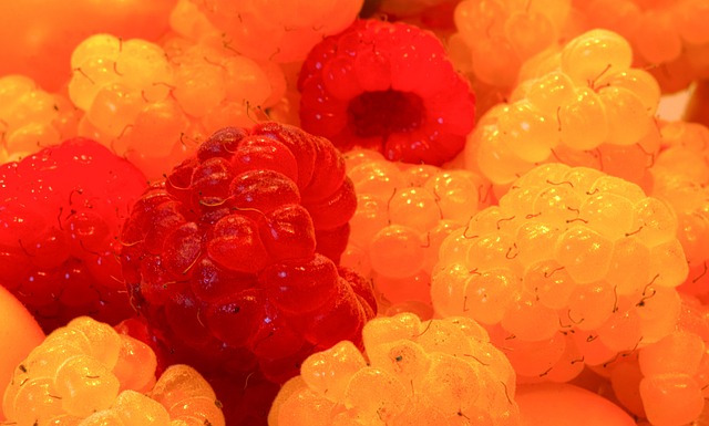 化的返乡专 化的返乡专