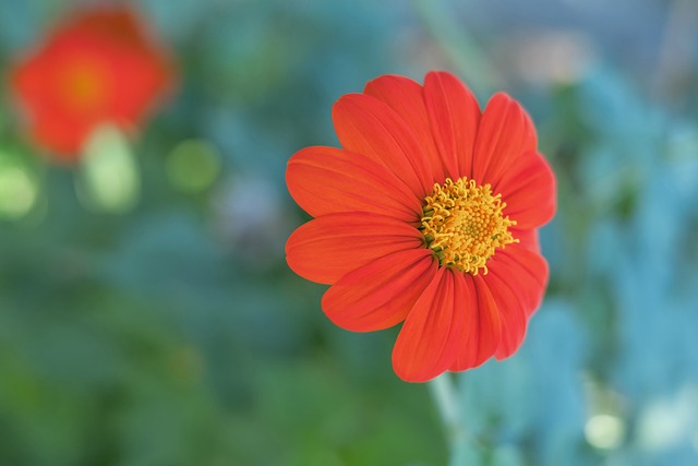 引进罗克这 引进罗克这