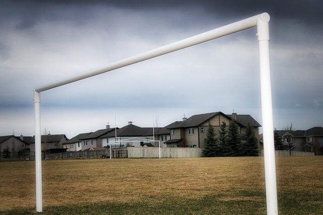 展和潜力的 展和潜力的