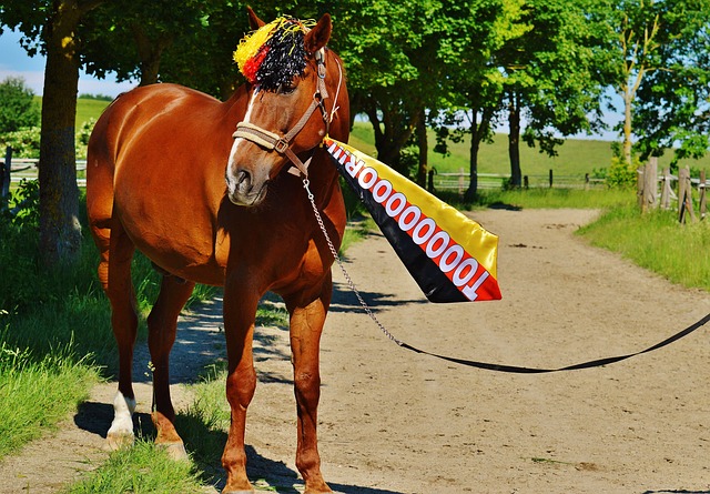 一些支持者 一些支持者