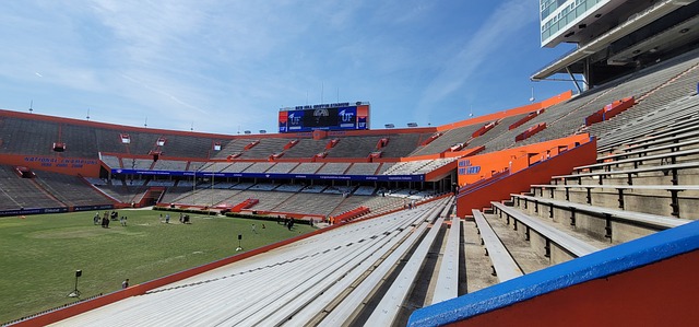 待他们在新 待他们在新