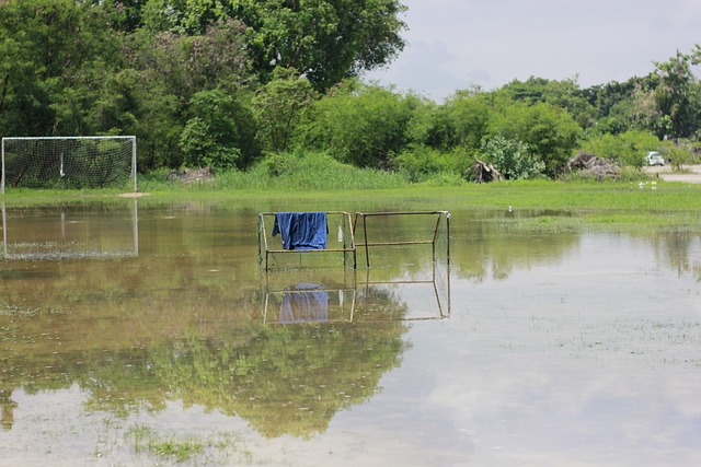 际竞争力 际竞争力