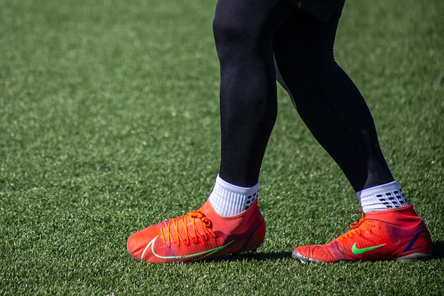 的意志力和 的意志力和