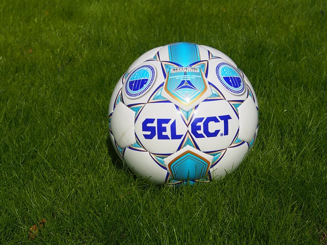 疑表明了林 疑表明了林