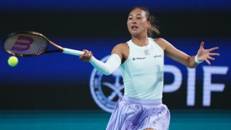 了显著的进 了显著的进